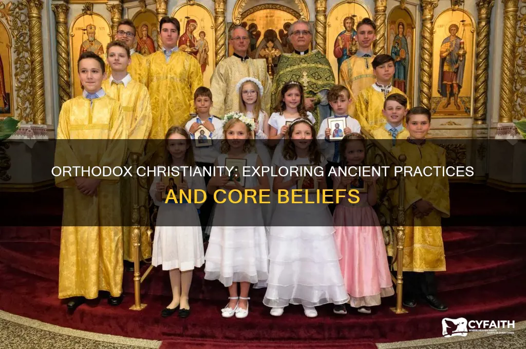 what are the practices and beliefs of orthodox christians