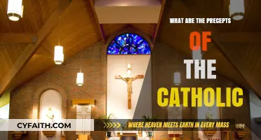 Understanding the Core Precepts of the Catholic Faith