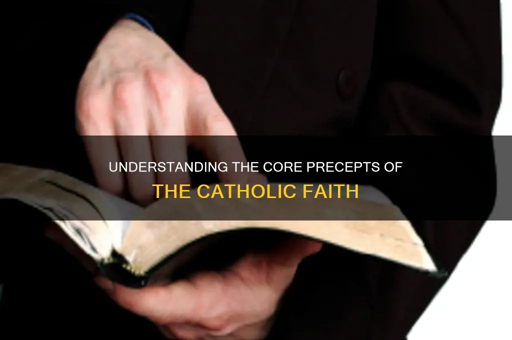 what are the precepts of the catholic