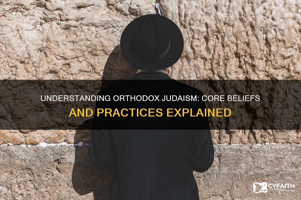 what are the primary beliefs of orthodox jews