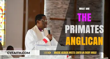 Understanding the Primates: Leadership Roles in the Anglican Communion