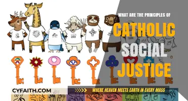 Catholic Social Justice Principles: Faith, Dignity, and the Common Good