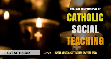 Catholic Social Teaching Principles: Faith, Justice, and Human Dignity Explained