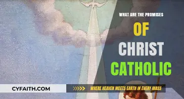 Christ's Promises: Exploring Catholic Faith's Eternal Hope and Assurance
