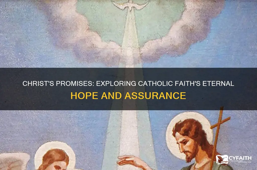 what are the promises of christ catholic