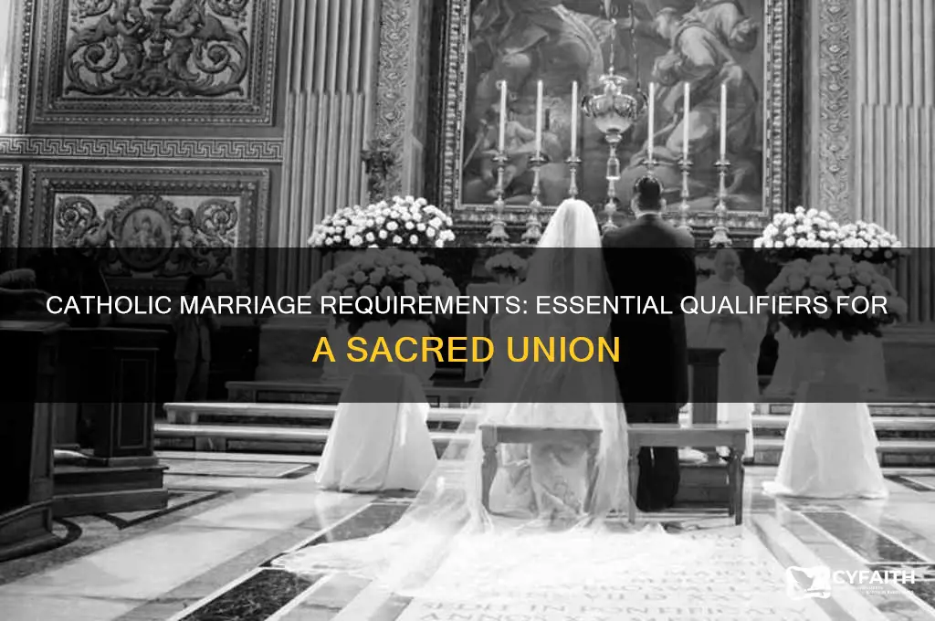 what are the qualifiers to have a catholic marriage