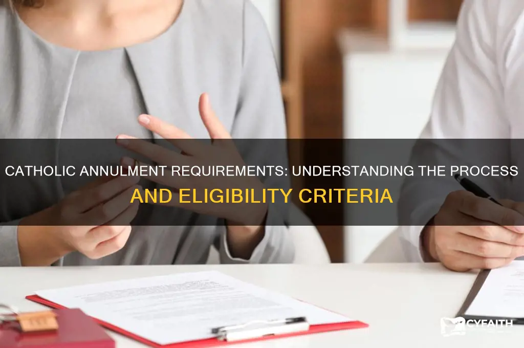 what are the requirements for a catholic annulment