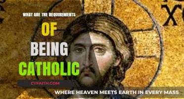 Understanding the Faith: Key Requirements for Being a Catholic