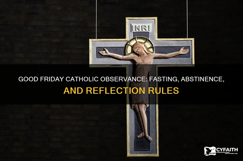 what are the rules for catholics on good friday