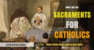 Understanding the Seven Sacraments: Catholic Faith's Sacred Rituals Explained