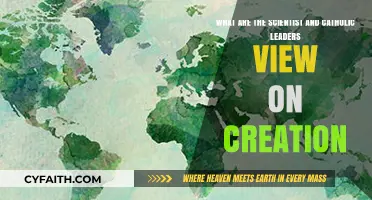 Creation Debate: Scientists and Catholic Leaders' Perspectives Explored