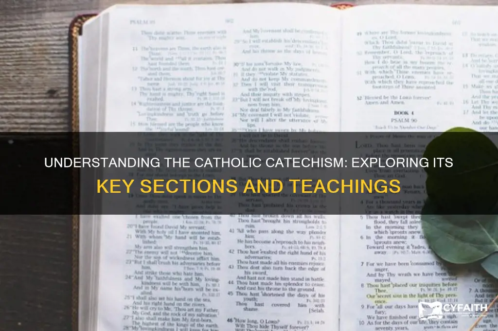 what are the sections of the catholic catechism