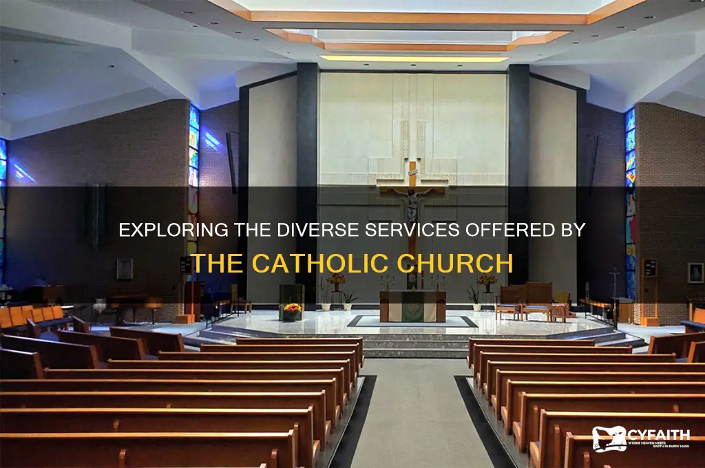 what are the service of catholic