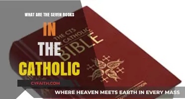 Exploring the Sacred Seven Books of the Catholic Bible