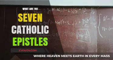Exploring the Seven Catholic Epistles: Faith, Wisdom, and Community