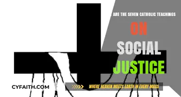 Catholic Social Justice Teachings: Seven Core Principles Explained