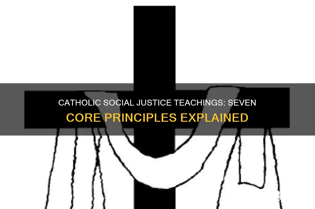 what are the seven catholic teachings on social justice
