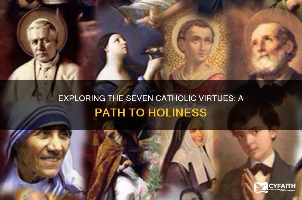 what are the seven catholic virtues