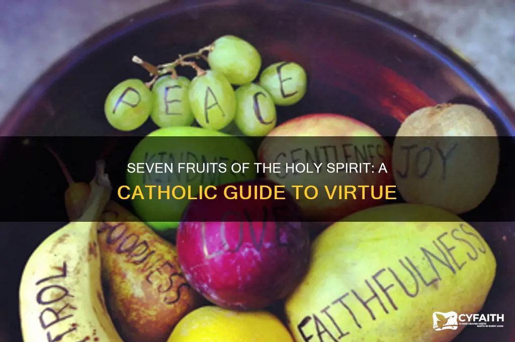 what are the seven fruits of the holy spirit catholic