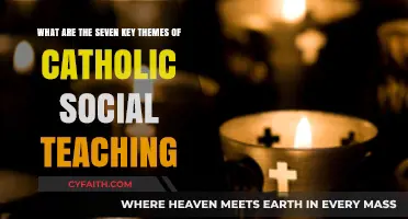 Exploring Catholic Social Teaching: Seven Core Principles for Justice and Charity