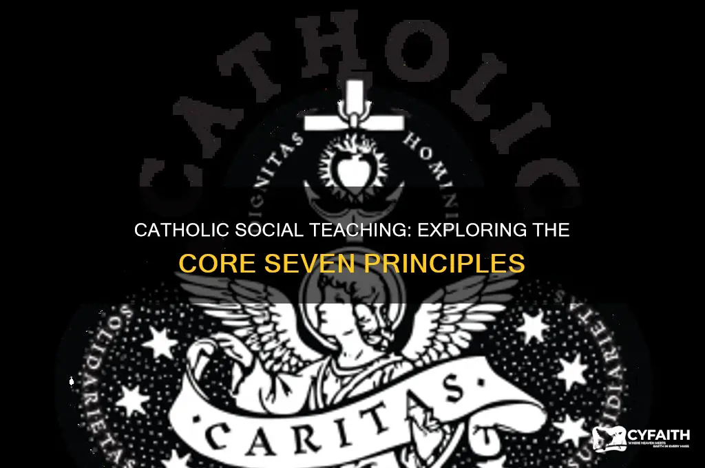 what are the seven pillars of catholic social teaching