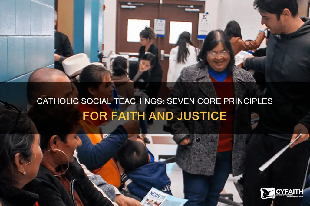 what are the seven principles of catholic social teachings