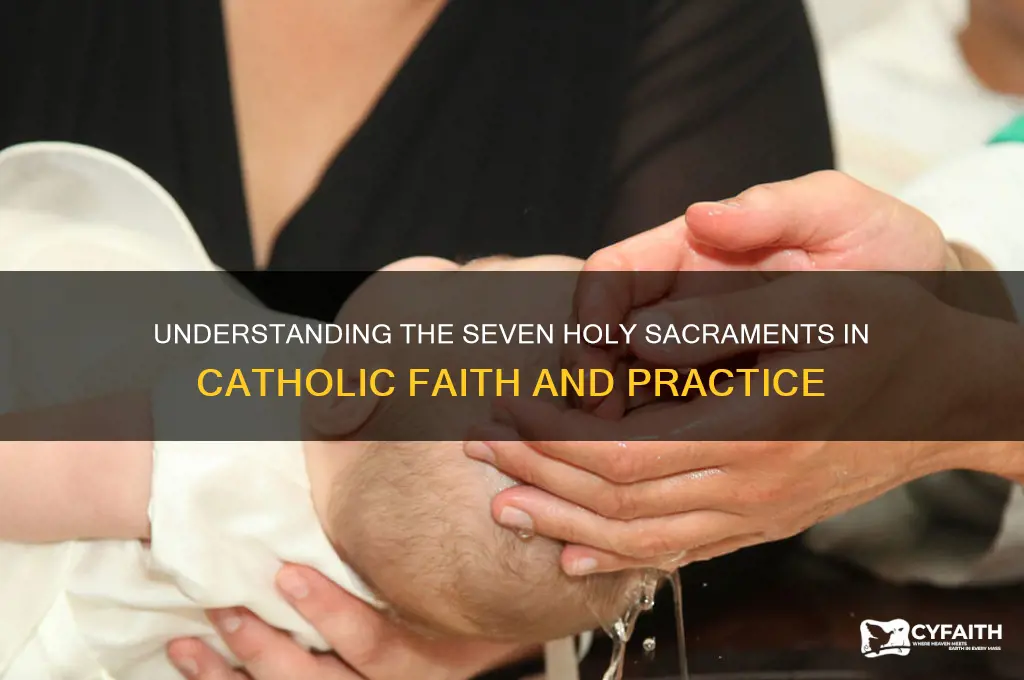 what are the seven sacraments for catholics