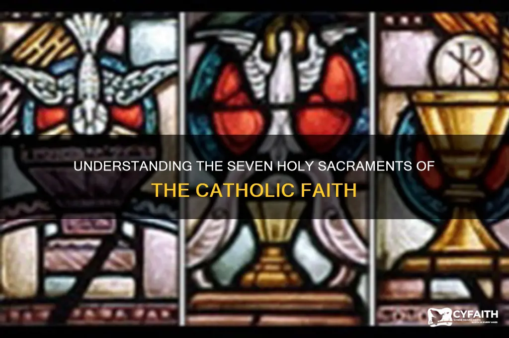 what are the seven sacraments in the catholic religion