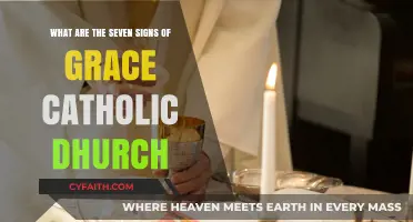Recognizing the Seven Signs of Grace in the Catholic Church