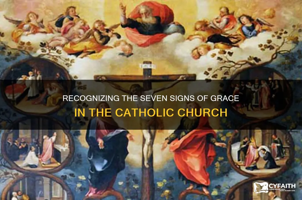 what are the seven signs of grace catholic dhurch