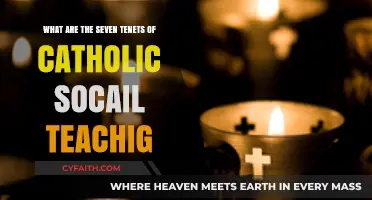 Catholic Social Teaching: Seven Core Principles for Justice and Charity