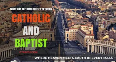 Catholic vs. Baptist: Shared Beliefs, Practices, and Theological Commonalities