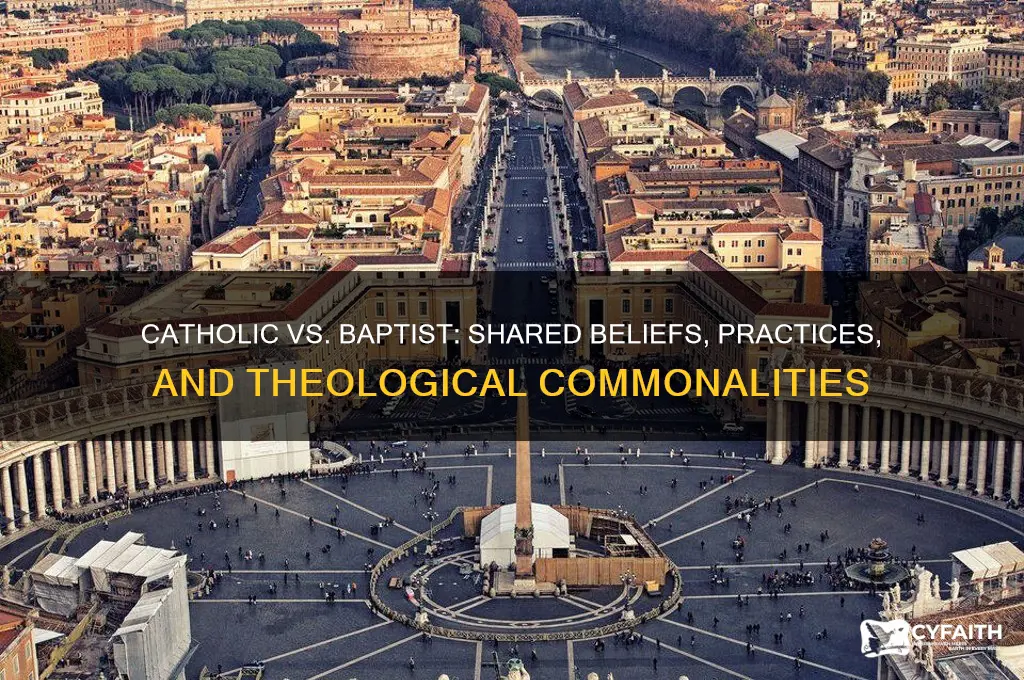 what are the similarities between catholic and baptist