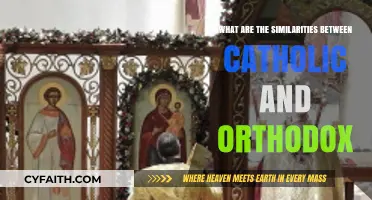 Catholic and Orthodox: Shared Faith, Traditions, and Sacred Roots Explored