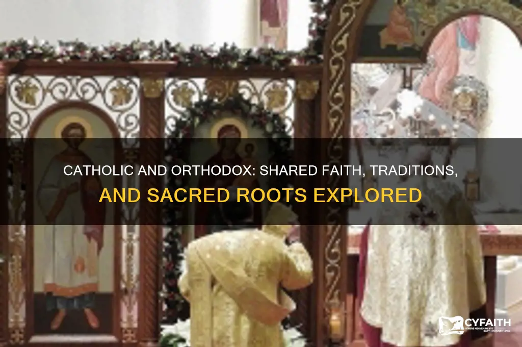 what are the similarities between catholic and orthodox