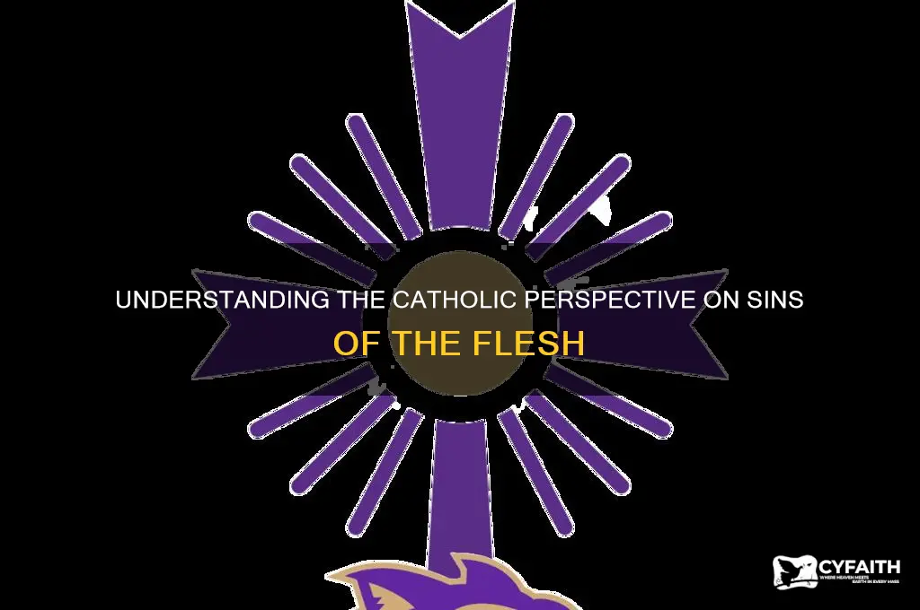 what are the sins of the flesh catholic
