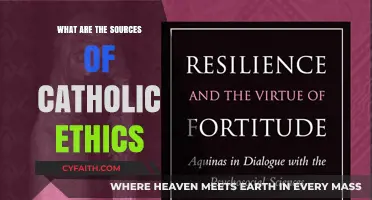 Exploring the Foundations: Key Sources of Catholic Ethical Teachings