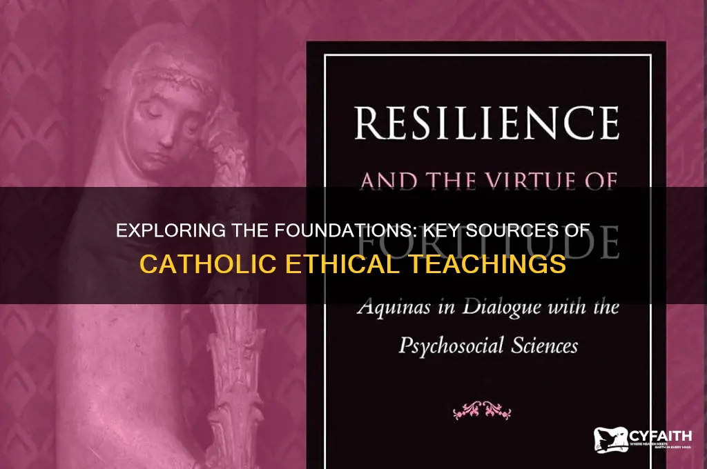 what are the sources of catholic ethics