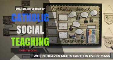 Exploring the Foundations: Sources of Catholic Social Teaching Revealed