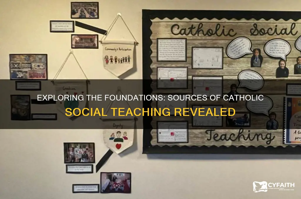 what are the sources of catholic social teaching