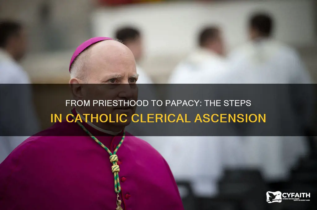 what are the steps in catholic preist hood tobpope