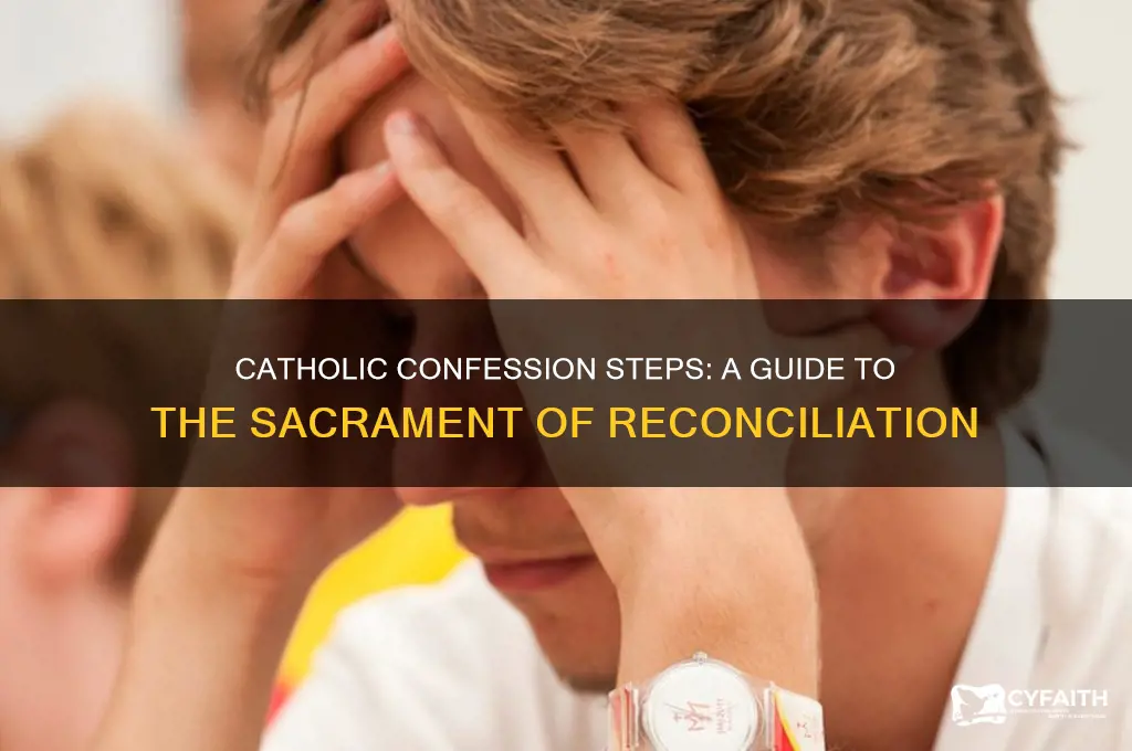 what are the steps of confession in the catholic chruch