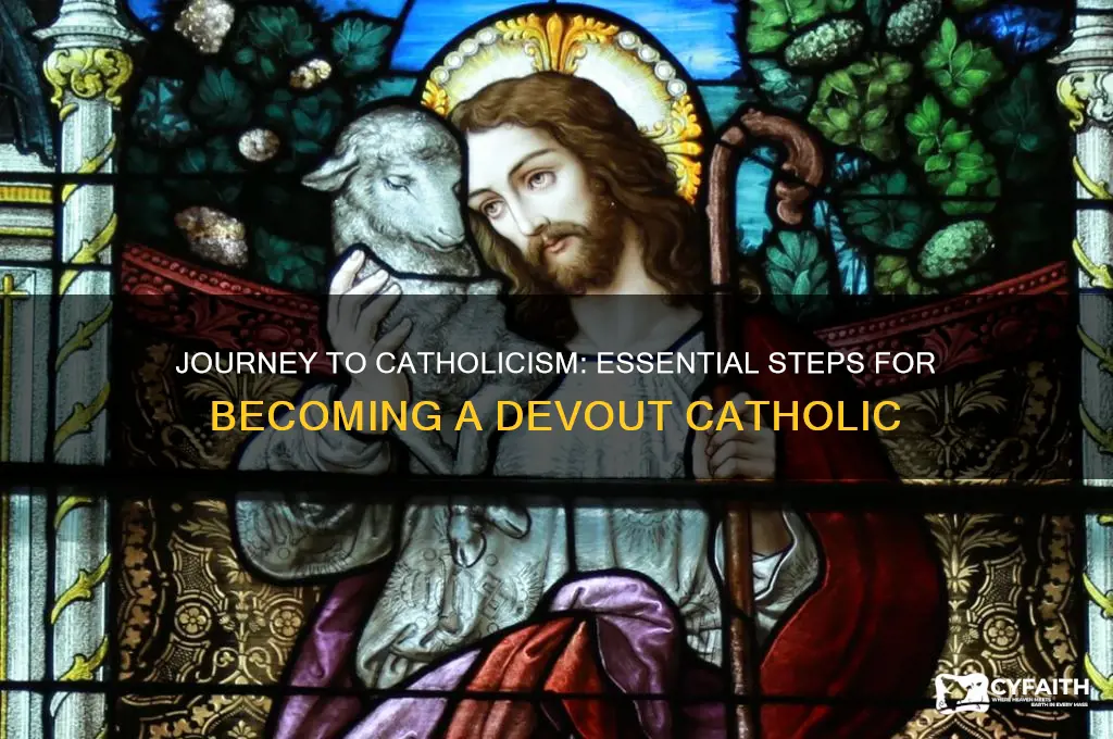 what are the steps to becoming catholic