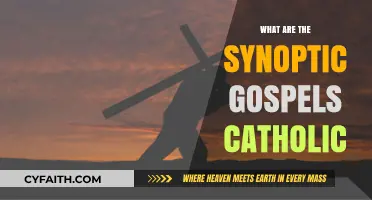 Understanding the Synoptic Gospels in Catholic Tradition and Scripture