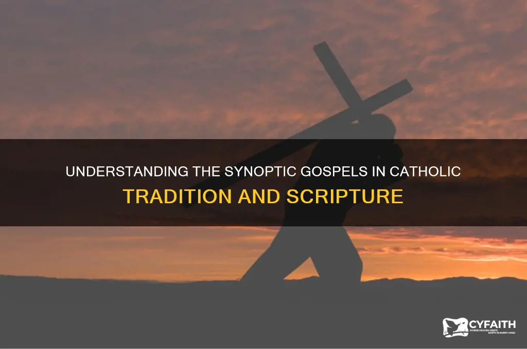 what are the synoptic gospels catholic