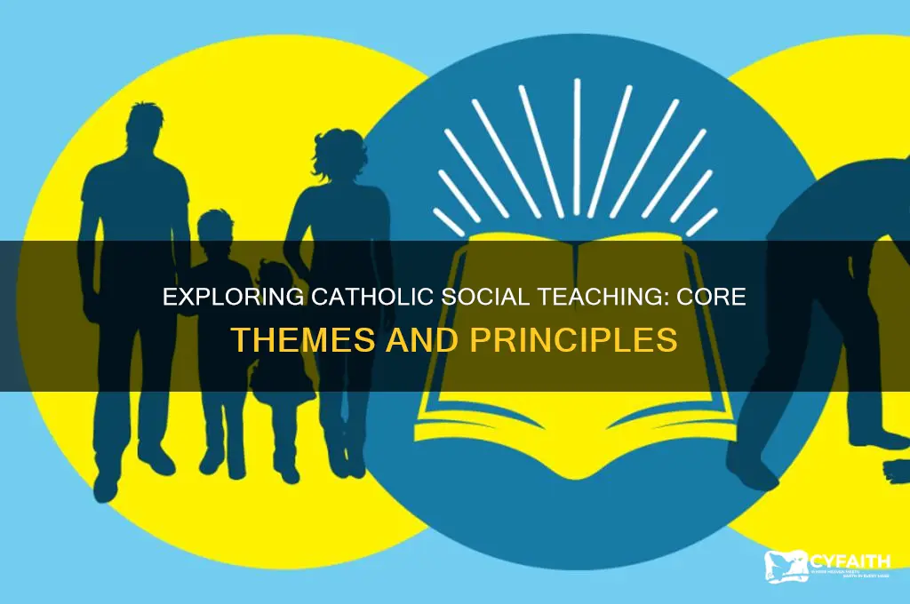 what are the themes of catholic social teaching
