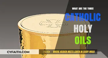 Understanding the Sacred Catholic Holy Oils and Their Significance