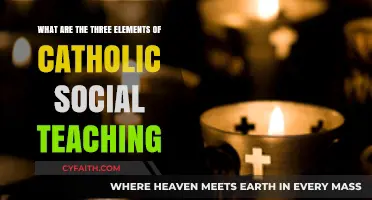 Exploring Catholic Social Teaching: Three Core Principles for Justice