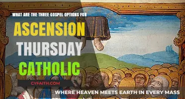 Exploring Catholic Gospel Options for Ascension Thursday: Three Readings