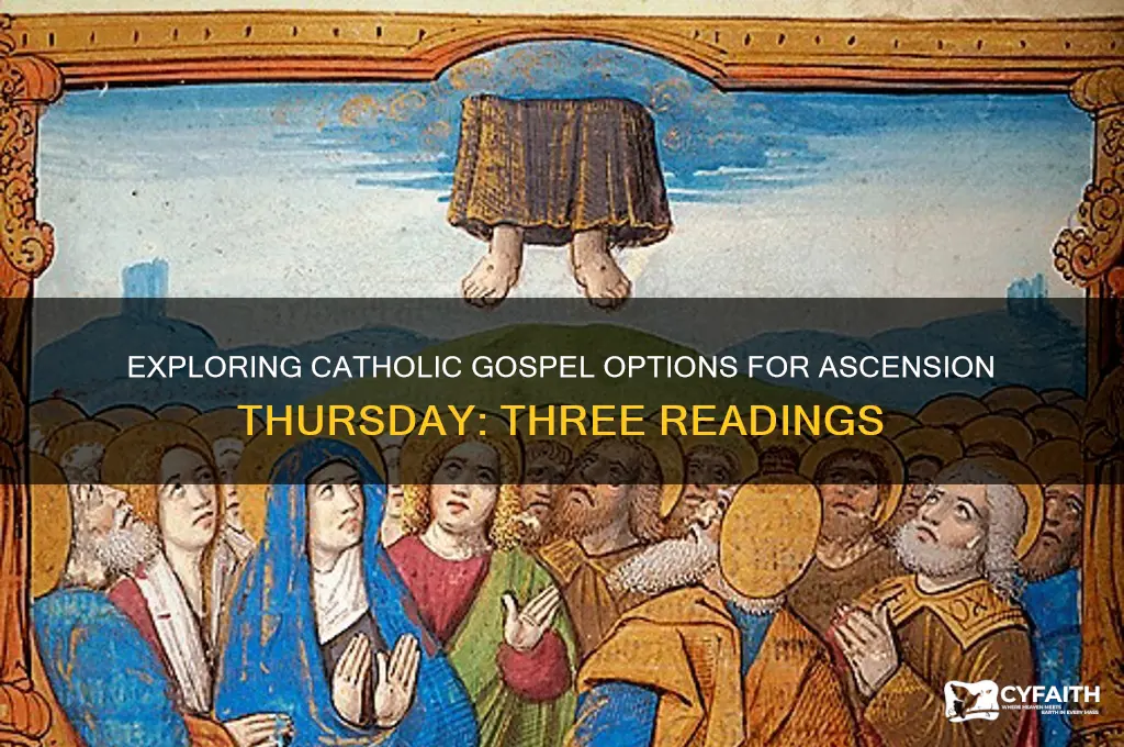 what are the three gospel options for ascension thursday catholic